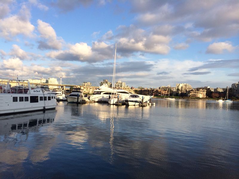 Views from Quayside Marina Vancouver (Sunday 30th March 2014: early afternoon: picture source unknown)